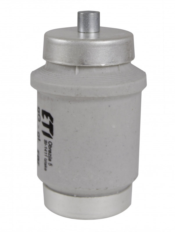 siguranta div gg 100a/500v 002314402